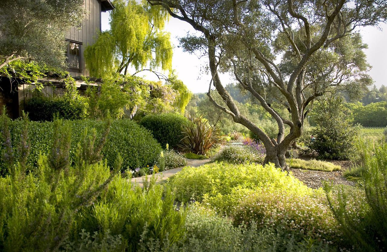 Wine Country Inn Napa Valley St. Helena Exterior photo