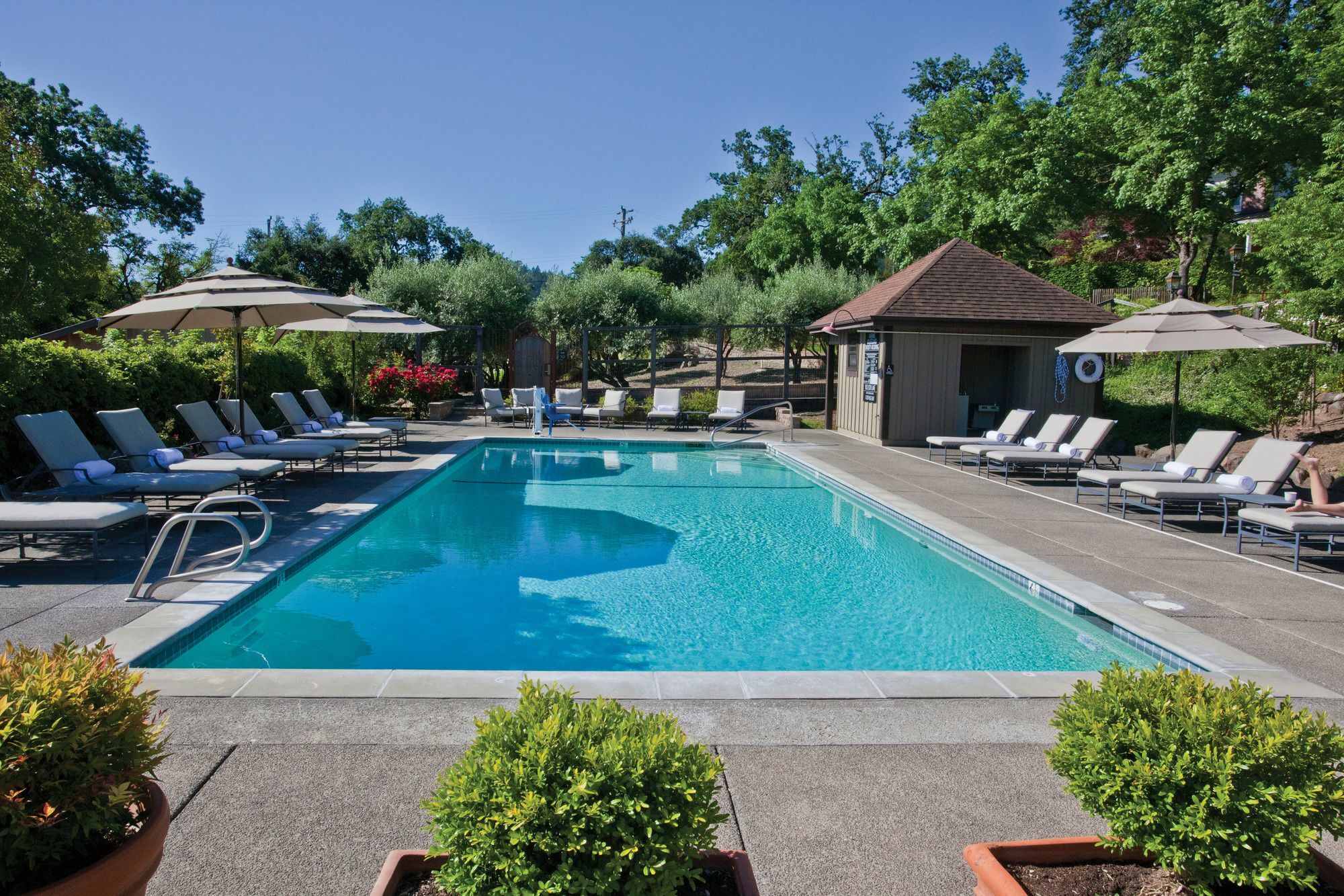 Wine Country Inn Napa Valley St. Helena Exterior photo